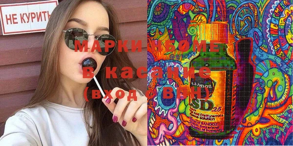 шишки Губаха