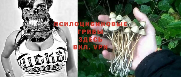 шишки Губаха